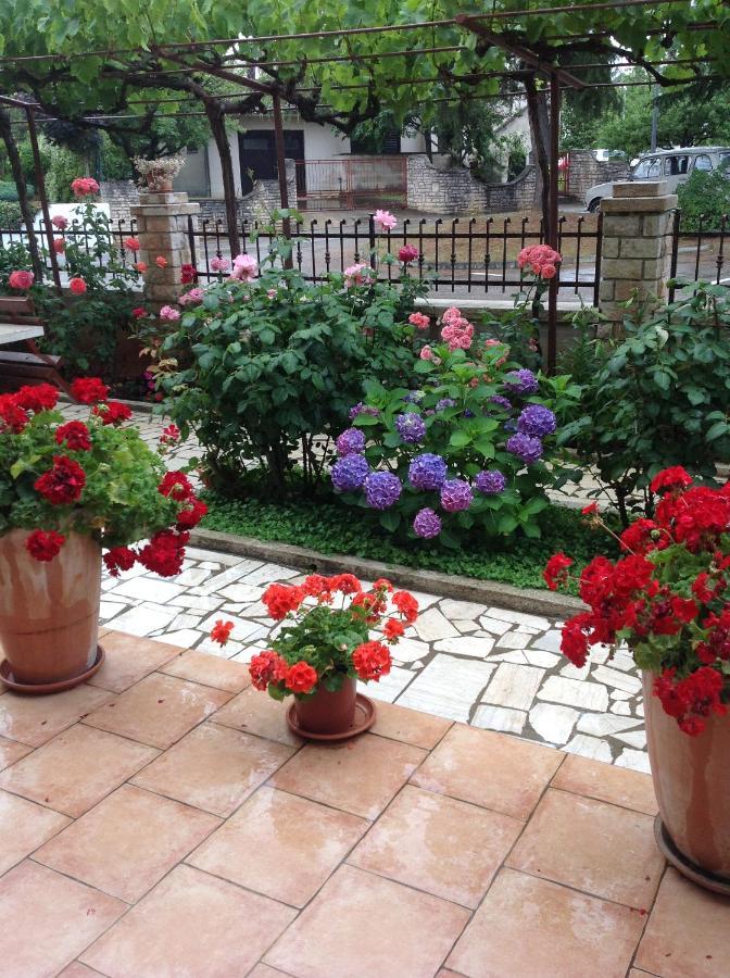 Vila Alma 포레치 외부 사진